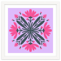 Magenta mandala flowers