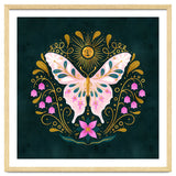 Butterfly And Sun thumbnail