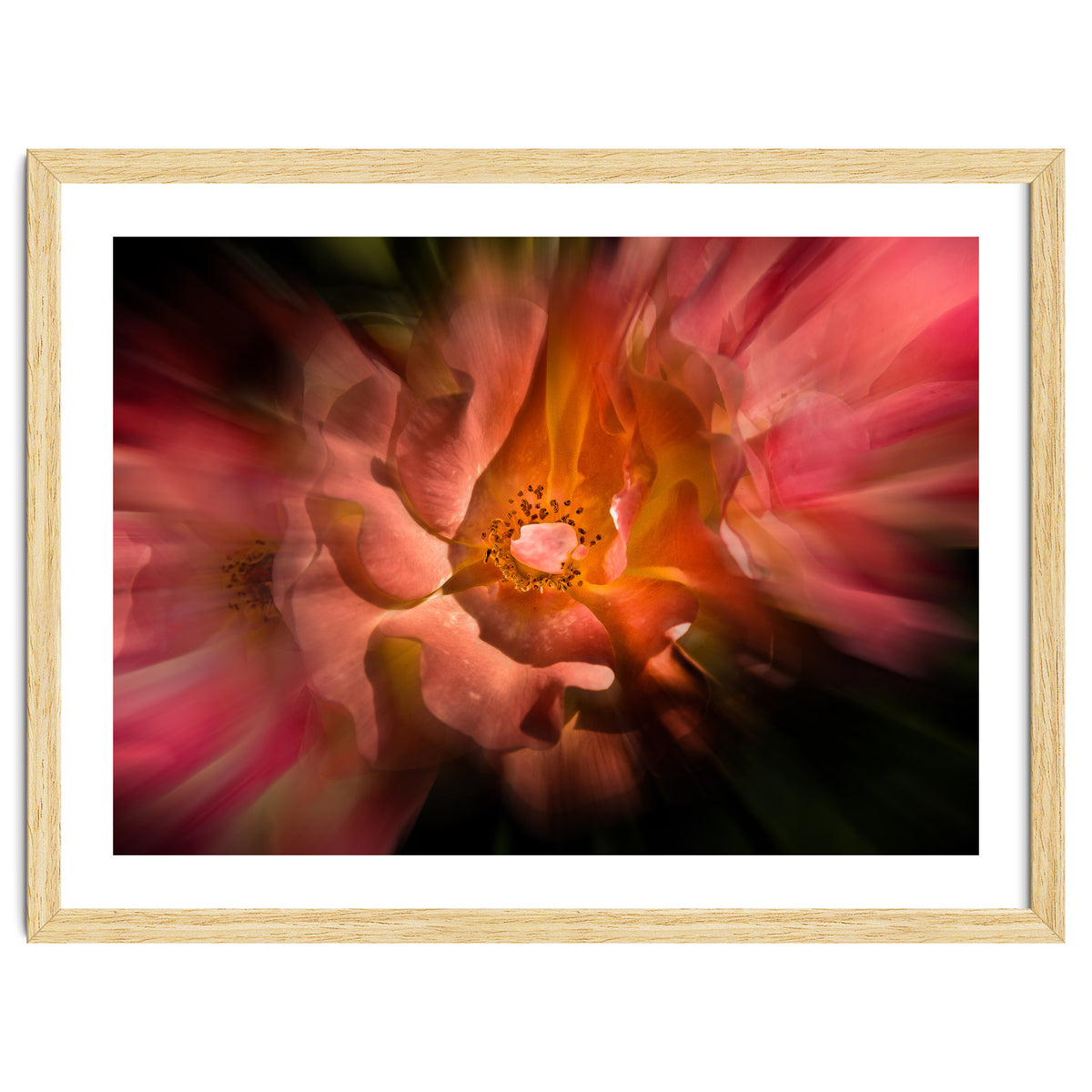 Backyard Flowers No 40 Color Flow Version