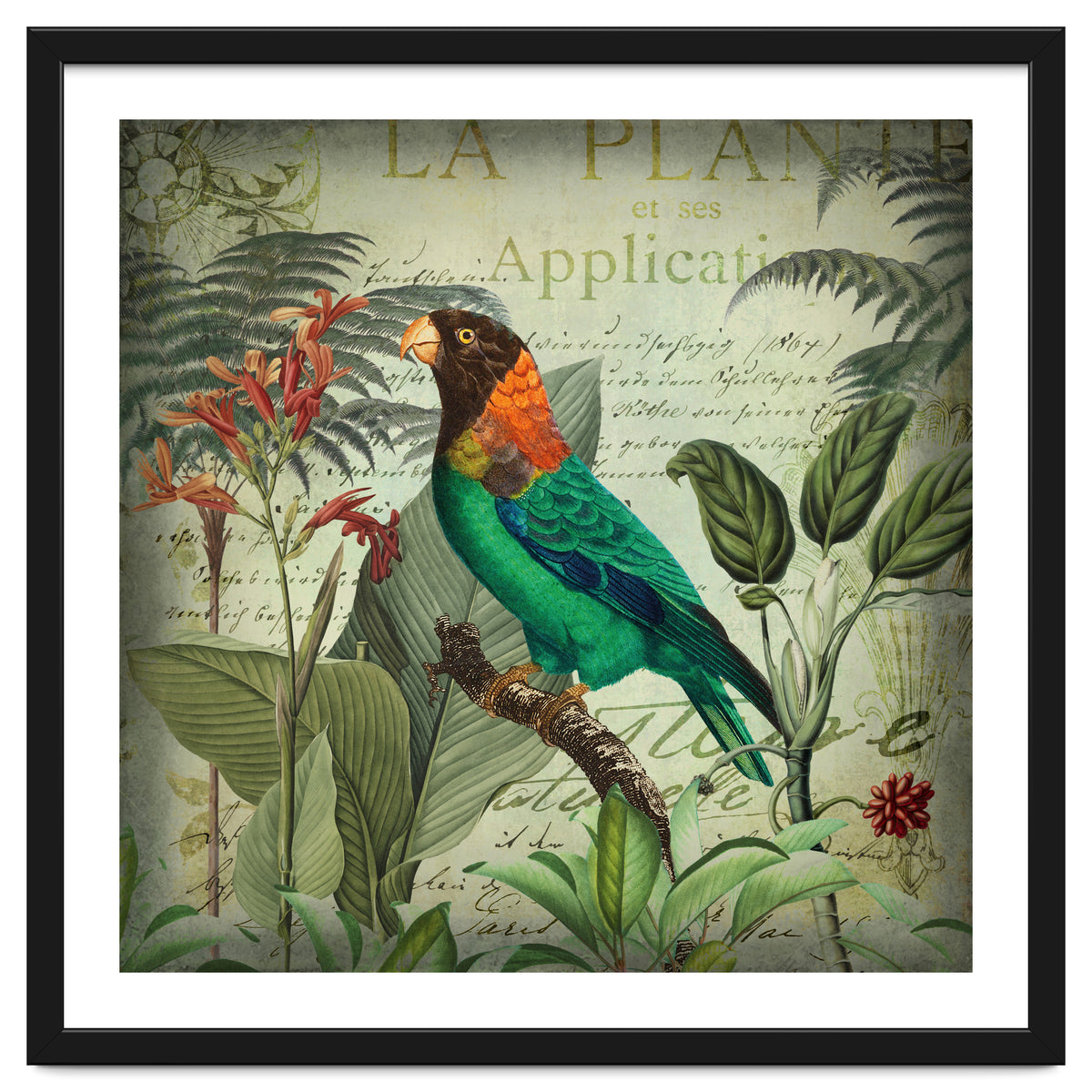 Tropical Bird Nostalgia