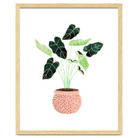 Home Plant | Ceramic Botanical Planter Illustration | Minimal Bohemian Watercolor Painting Polka Dot