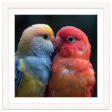 Two Lovebirds Nuzzling Close Up Portrait thumbnail