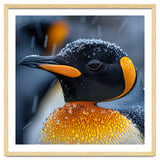 King Penguin Close Up In Snowfall thumbnail