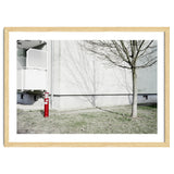 Red light pole and Tree shadow on the wall thumbnail