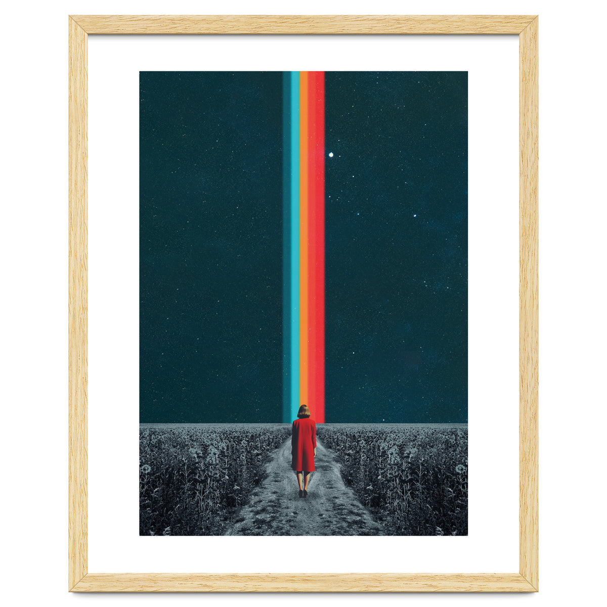 Follow Your Own Path