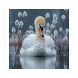 Swan Floating Serene On Calm Water (Print Only) thumbnail
