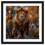 Majestic Lion Sitting On A Rock In Autumn Forest thumbnail