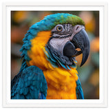 Blue And Yellow Macaw Parrot Close Up Portrait thumbnail