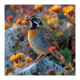Bird Perched On A Rock With Flowers (Print Only) thumbnail