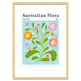 Australian Flora: Straw Flower thumbnail