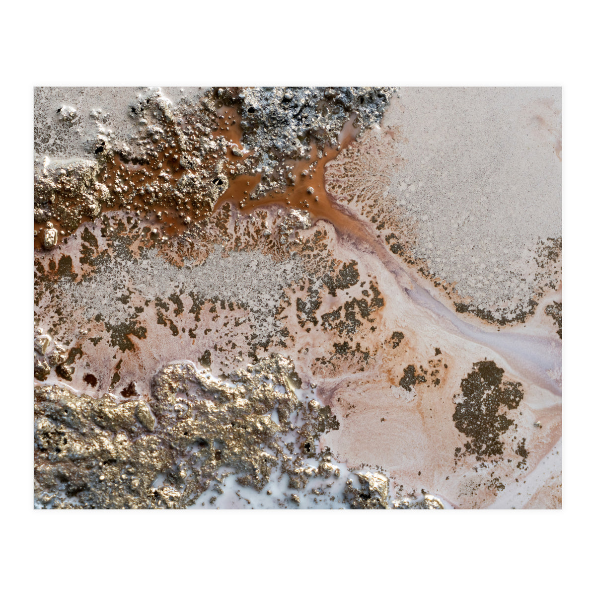 Conection (Print Only)