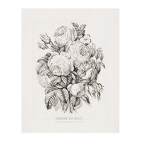 Currier & Ives – Rose of May (1870) (Print Only)