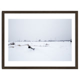 Drinking fountain covered with snow thumbnail
