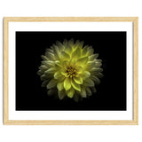 Backyard Flowers No 128 Color Version thumbnail