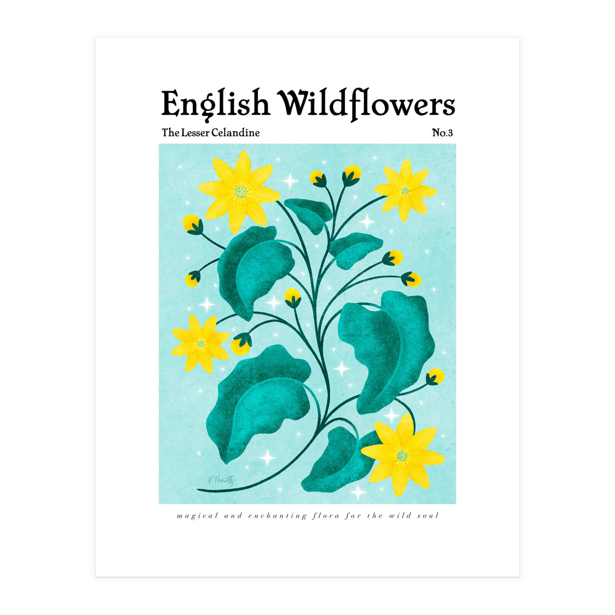 English Wildflowers | Lesser Celandine (Print Only)