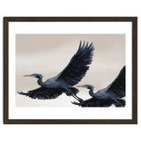 Migrating Herons thumbnail