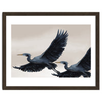 Migrating Herons