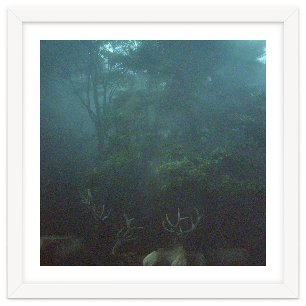 Silence of breath - 12