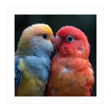 Two Lovebirds Nuzzling Close Up Portrait (Print Only) thumbnail