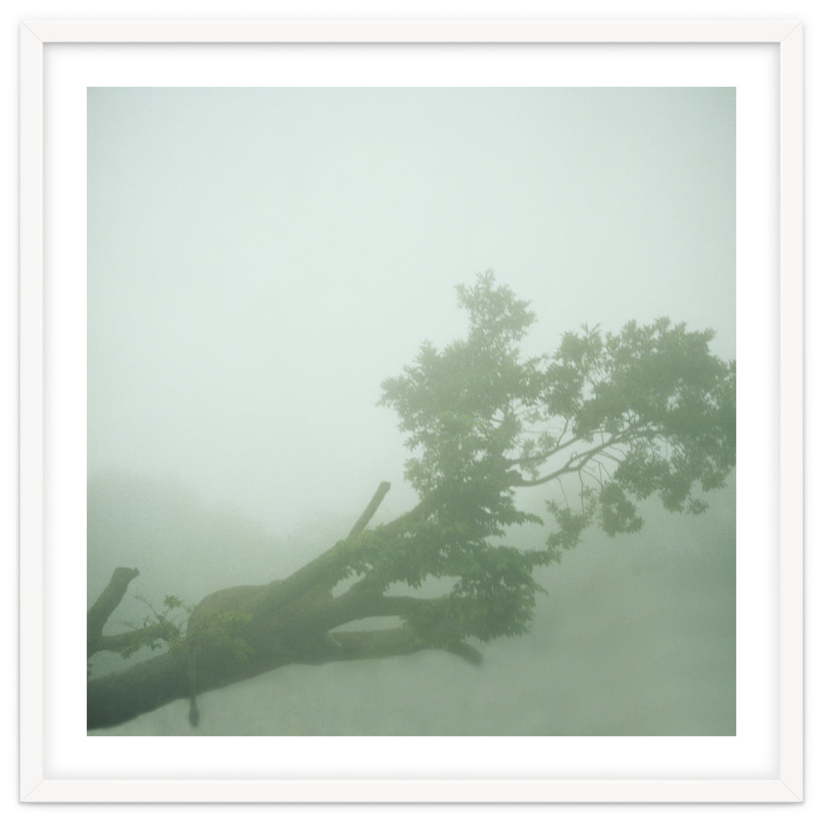 Silence of breath - 07