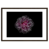 Backyard Flowers No 116 Color Version thumbnail