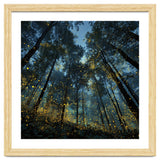 Celestial Forest Canopy with Swirling Golden Fireflies and Deep Twilight Blue Sky Digital Art thumbnail