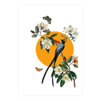 collage floral birds (Print Only)