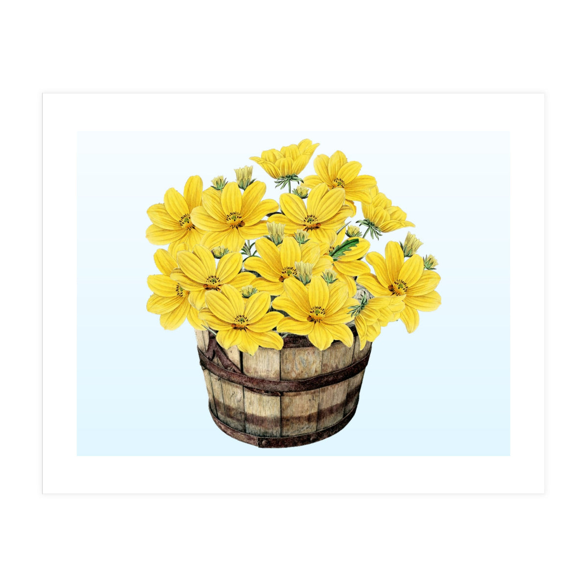 Bucket of Sunshine (Print Only)