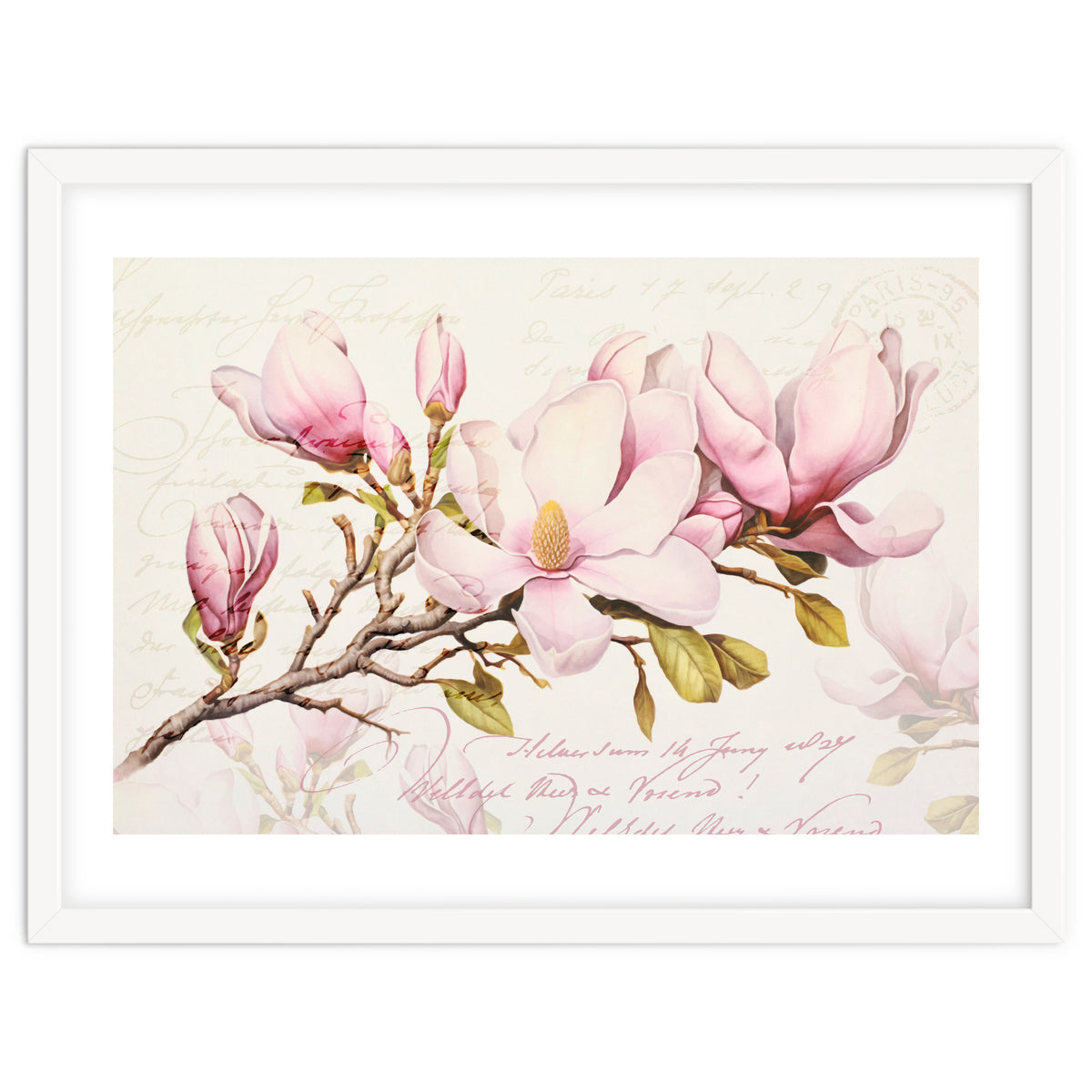 Magnolia Spring Romance Pink
