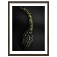 Gourds No 9 Color Version