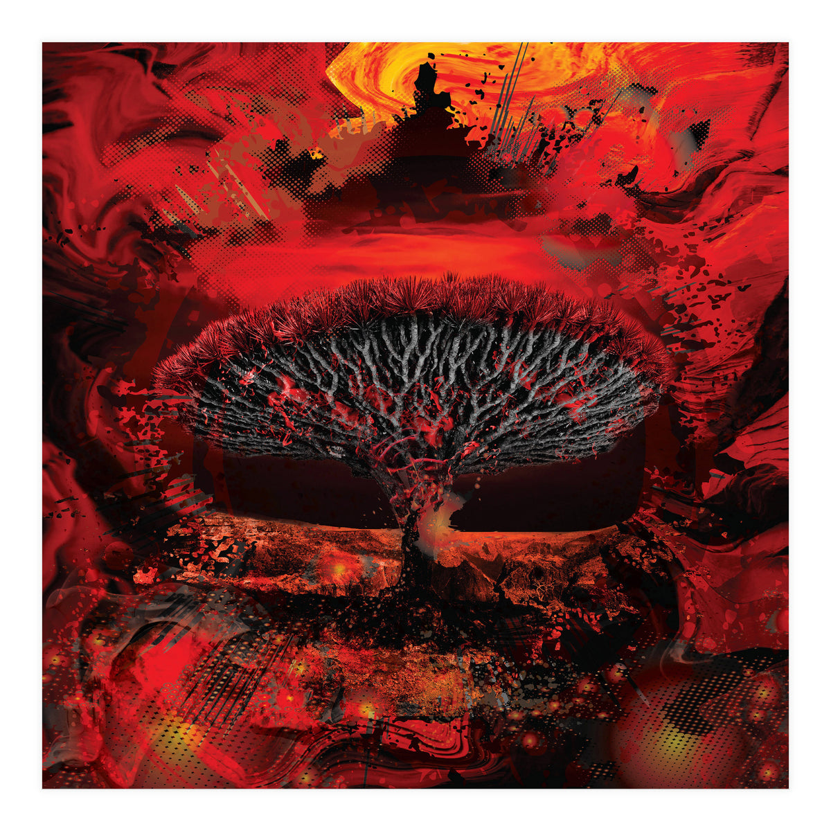 Socotra Dragon Blood tree (Print Only)