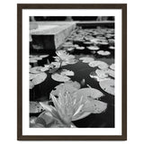 Lotus Pond | Black & White Portrait thumbnail
