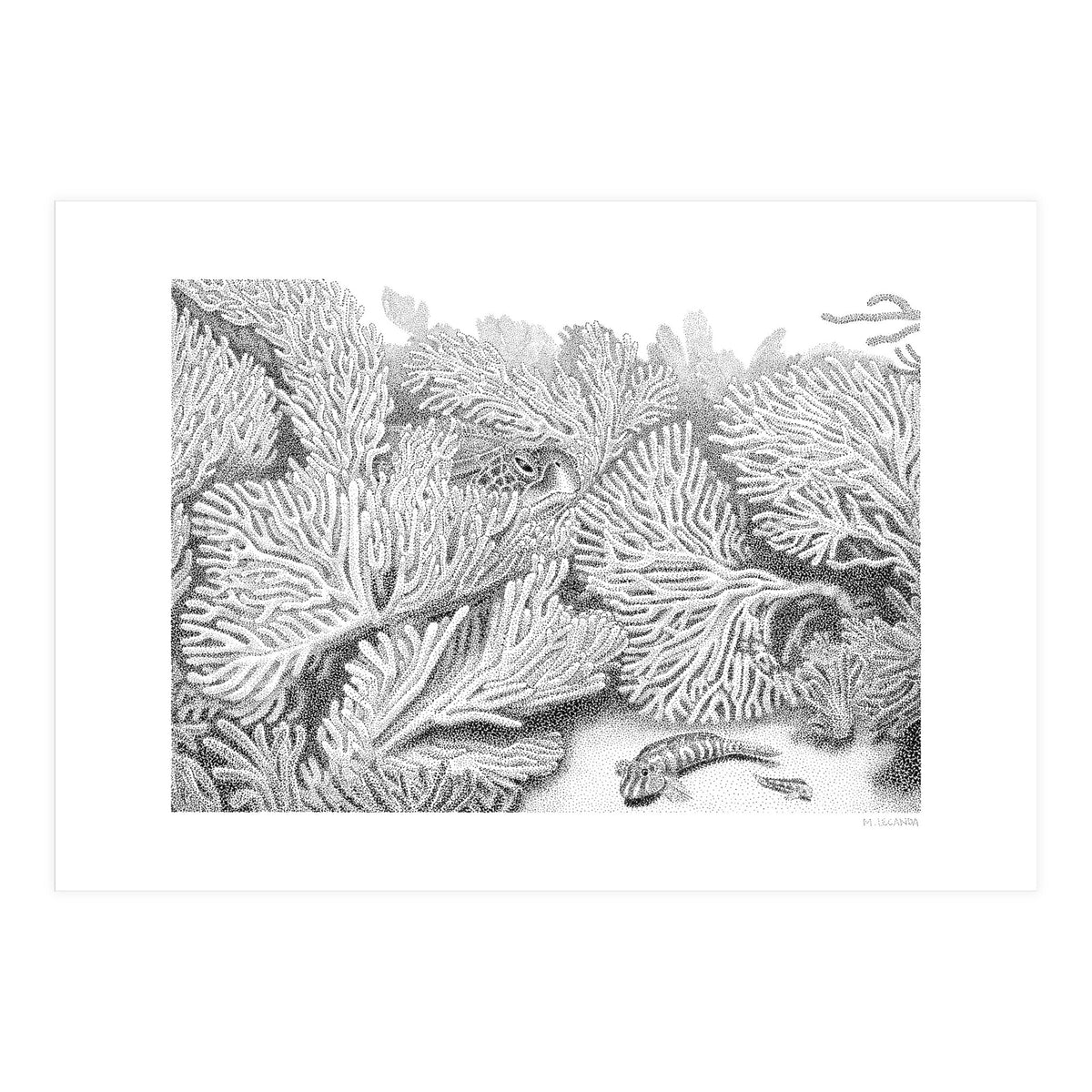 Hidden in plain sight (Print Only)