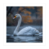 Swan Floating Gracefully On Water In Autumn (Print Only) thumbnail