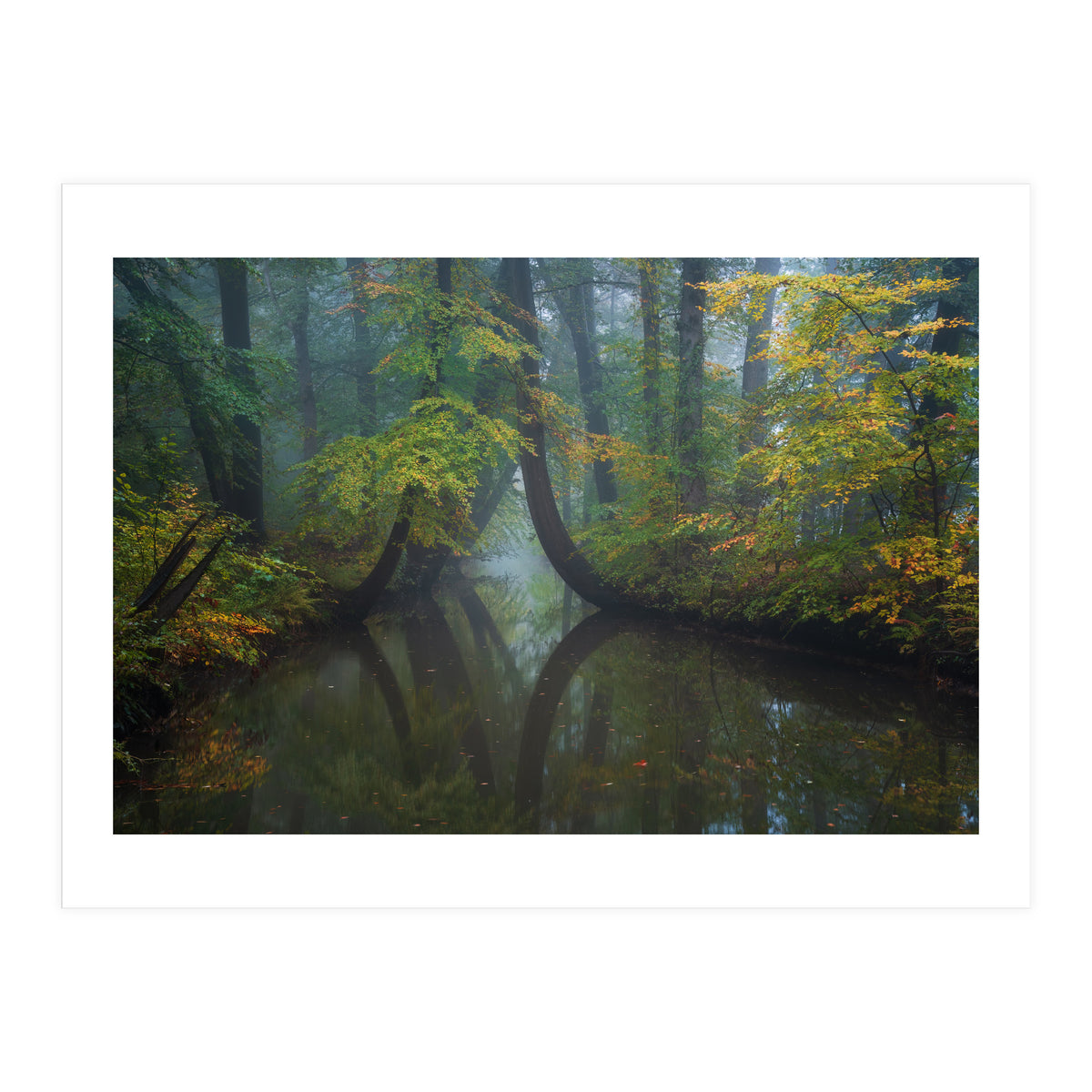 The bent ones (Print Only)