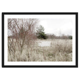 Abandoned Sofa in the middle of nowhere thumbnail