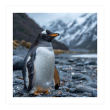 Gentoo Penguin Standing On A Rocky Shore (Print Only) thumbnail