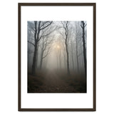 Ethereal Morning Light Breaking Through Dense Forest Fog thumbnail