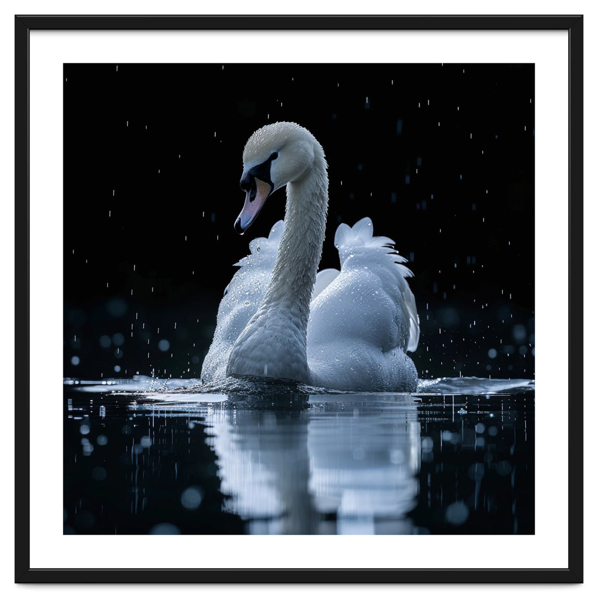 Majestic Swan Swimming In Dark Water