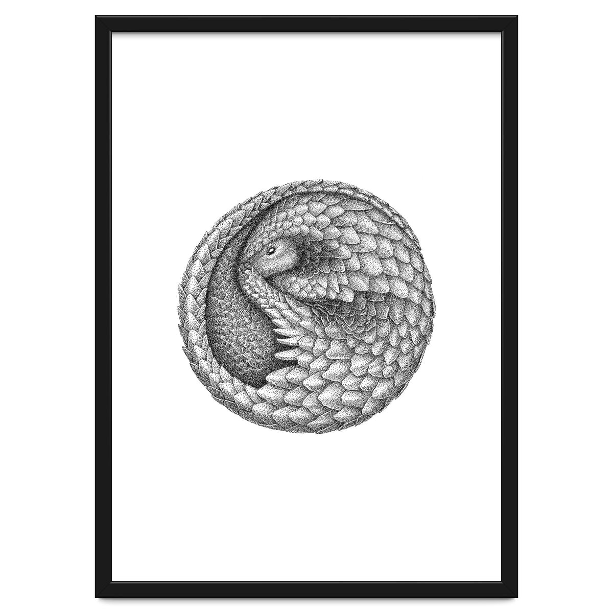 Pangolin no. 2 Art Print by Blackscatter | Arthaus