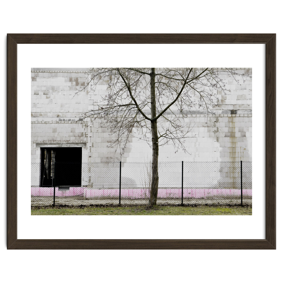 A tree in front of the wall