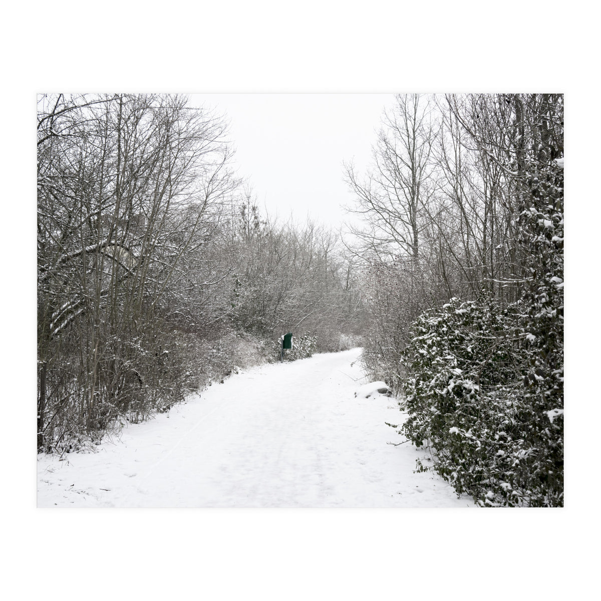 Walking through the snow park (Print Only)