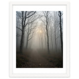 Ethereal Morning Light Breaking Through Dense Forest Fog thumbnail