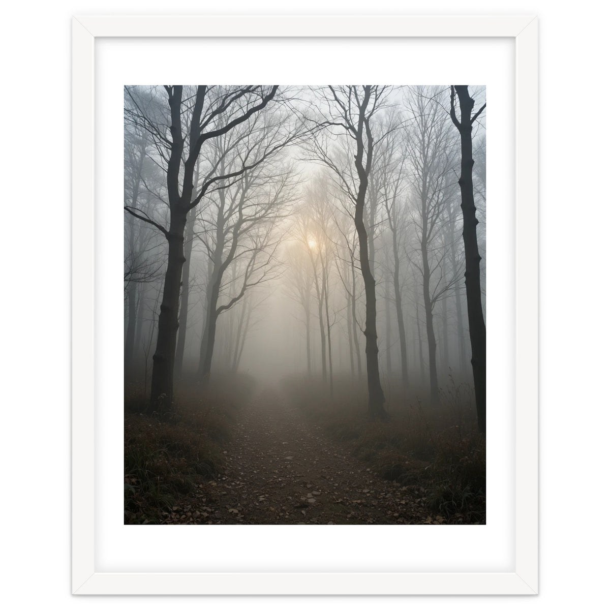 Ethereal Morning Light Breaking Through Dense Forest Fog