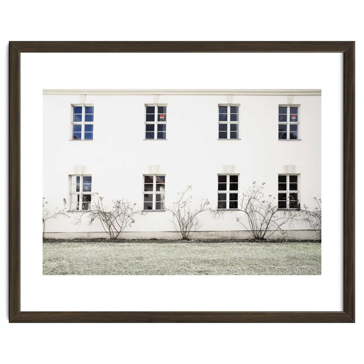 Small trees in between the windows