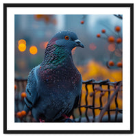 Pigeon With Water Droplets