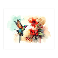Dance Of Hummingbird And Crimson Flowers (Print Only)