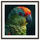 Close Up Colorful Parrot Bird Feather thumbnail