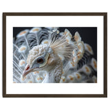 Close Up Albino Peacock Bird Portrait thumbnail