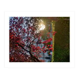 Autumn’s Embrace (Print Only) thumbnail